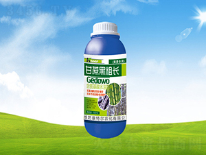 ����ڴ��L(zh��ng)-���ؠ��r(n��ng)��