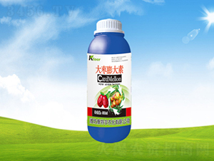 �������-���ؠ��r(n��ng)��