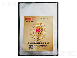 ΢�������-������-��������