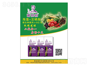 ����+����֬-������-��������