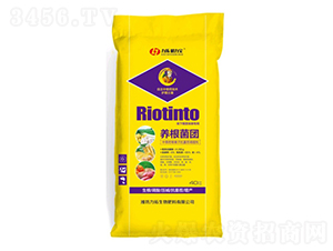 �B(y��ng)��܊�F(tu��n)-��������