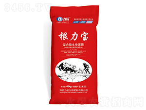 ��(f��)��΢�������-���������t��-��������