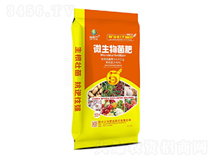 ΢�������-�żΠ�-�|��ʘI(y��)