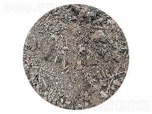 �u�S�ЙC(j��)��-��������