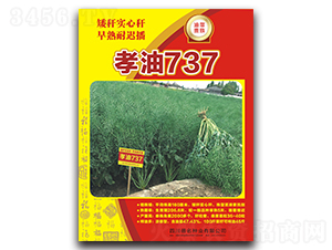 Т��737-�Ͳ˷N��-�����N�I(y��)