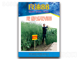 ����88-�Ͳ˷N��-�����N�I(y��)