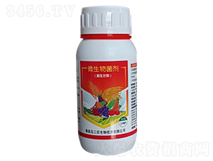 ΢��������������f�-���r(n��ng)����