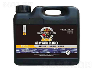 ������~����-�S�Ղb-����ֲ��