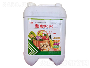 ����9000����ͺ��Ƅ�-����