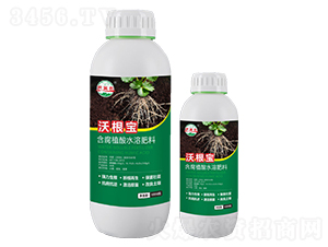 �ָ���-�����r(n��ng)-���T����