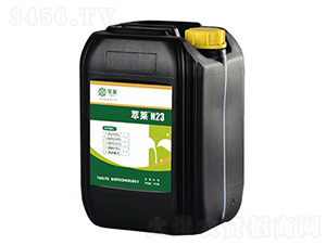 ���RN23-���R����