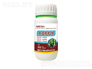 �������-٤�נ�-�_˼ķ