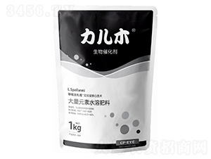 ����ľ�M(j��n)������߻���-�ۃ�(ch��)