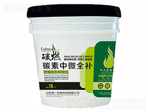 10����̼ȼ��̼����΢ȫ�a(b��)-�Qһ����