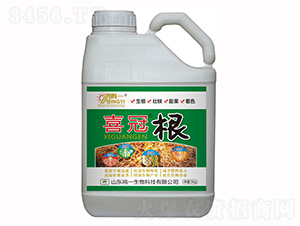 ϲ�ڡ���-�Qһ����