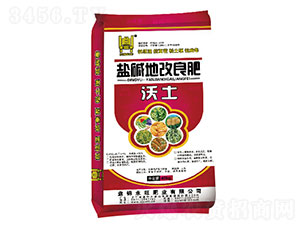 �}�A�ظ�����-����-�����ʘI(y��)