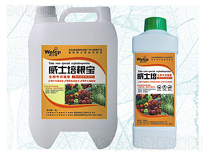 ��ʿ�����-����