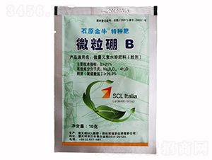 ΢����B(y��ng)-���|���r(n��ng)�I(y��)