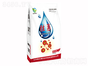 ����-���|���r(n��ng)�I(y��)