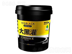 ��ڹ���Ԅ�����-���ڠ�