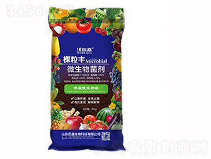 ΢�������-�w���S-��������