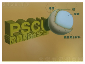 ΢�������������-˼�Z����