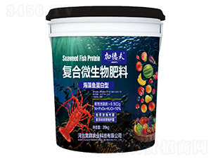 �����~�����͏�(f��)��΢�������-�ӵ·�-��Ⱥ�r(n��ng)�I(y��)