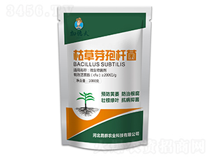 �ݲ�ѿ�ߗU��-�ӵ·�-��Ⱥ�r(n��ng)�I(y��)