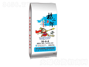 �������30-8-8-�����-���S�ʘI(y��)