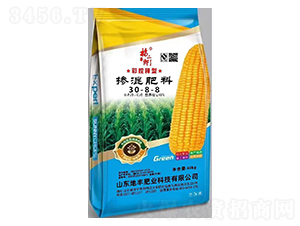 ����͓������30-8-8-�����-���S�ʘI(y��)