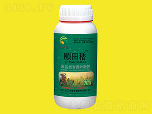 �̹�����~���-�U��䅨-���A��