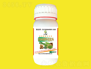 ���ƌ����~���-���A��