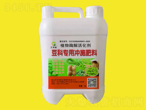 ���ƌ��Û_ʩ��-���A��