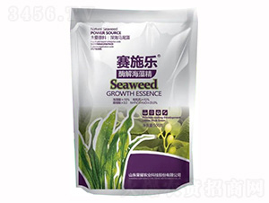 ø�⺣�徫-ِʩ��-�sҫ�r(n��ng)�I(y��)