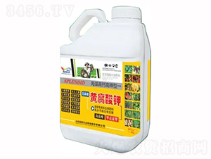 5kgͰ�bҺ��-�������S�����-�sҫ�r(n��ng)�I(y��)