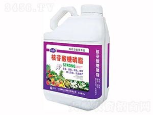 5kgͰ�bҺ��-����������֬-�sҫ�r(n��ng)�I(y��)