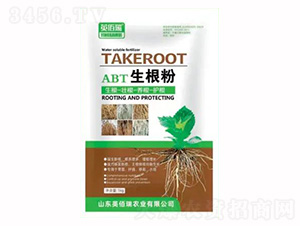 ������-Ӣ����-�sҫ�r(n��ng)�I(y��)