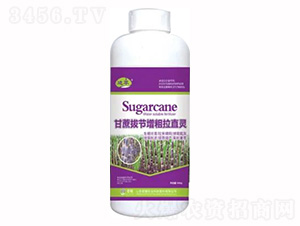 1000g����ι�(ji��)������ֱ�`-�sҫ�r(n��ng)�I(y��)