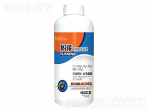 1300g�Ǵ��}�V-����-�sҫ�r(n��ng)�I(y��)