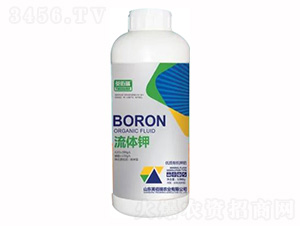 1300g��(y��u)�|(zh��)�ЙC⛷�-���w�-Ӣ����-�sҫ�r(n��ng)�I(y��)