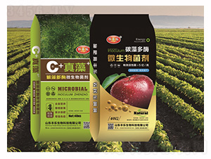 ̼���ø΢�������-���S����