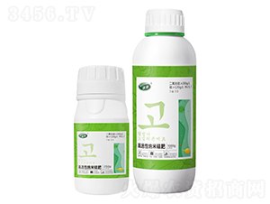 �߻��Լ{�׹��-��߃-���W�׶�