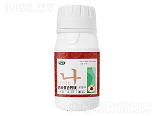 �{�������}�V-��߃-���W�׶�