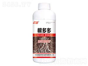 �����-��(r��n)���S-��ï�r(n��ng)�I(y��)