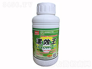 500ml�ЙCҺ��-�N������