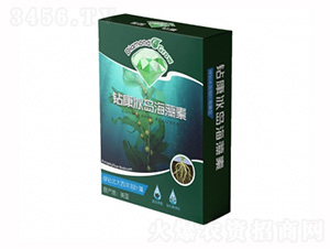 �@�����u������-��ţ�r(n��ng)�I(y��)