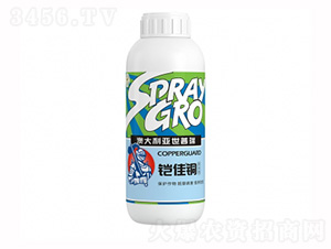 �z���~-��ţ�r(n��ng)�I(y��)