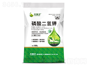 ��������-��ʩ�S-�r��