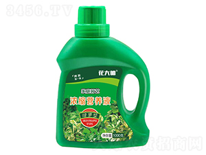 �G�}�͝�s�I�B(y��ng)Һ-����-�G�ַʘI(y��)