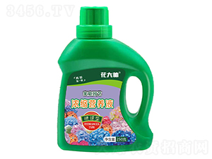 �C���͝�s�I�B(y��ng)Һ-����-�G�ַʘI(y��)